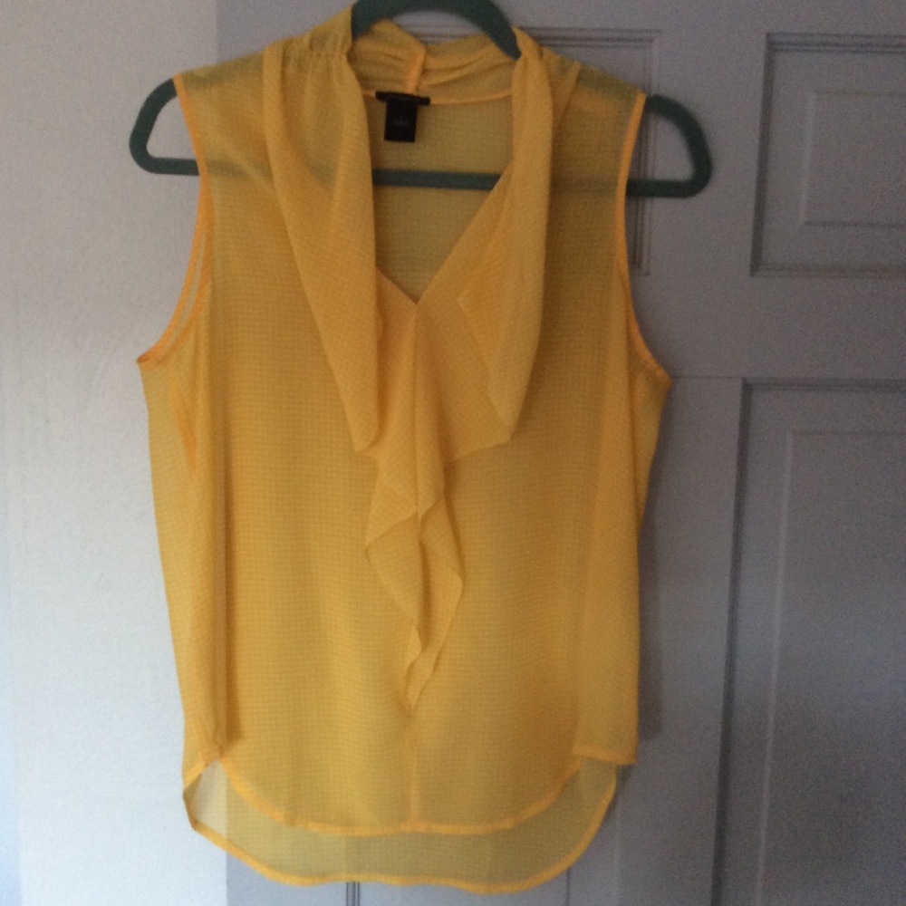 3 for $10 Ann Taylor Shear Sleeveless Ruffle Blouse